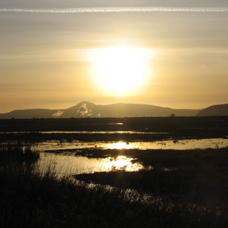 Birding Site of the week image